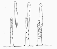 Grafting process