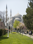 The Blue Mosque in Istanbul, Turkey